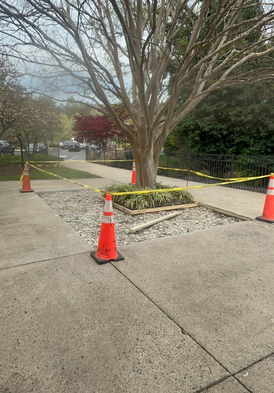 REE Landscaping Solutions LLC-571-419-8304-Stafford, VA, McLean, VA, Falls Church, VA, Great Falls, VA, Vienna, VA, Woodbridge, VA, Lorton, VA, Fredericksburg, VA, Spotsylvania, VA (13)